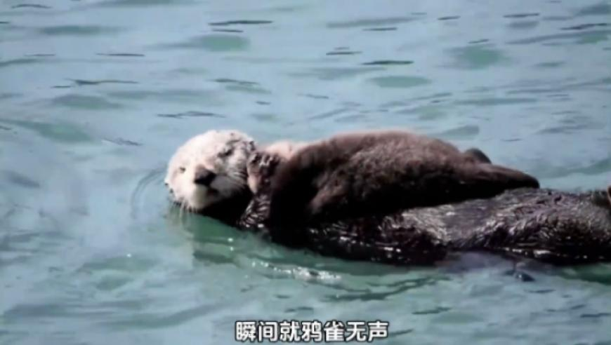 澳门三肖三码期期精准2014,阳泉一暖气管道爆裂,最新答案解释落实_手机版V5.52