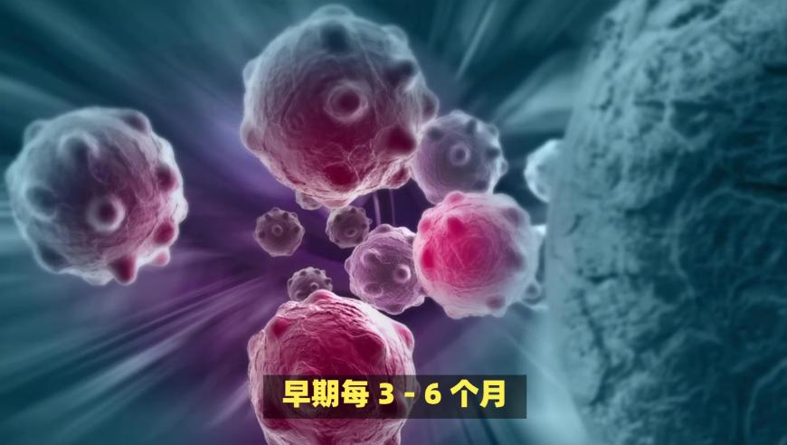 三个关键词概括第九届亚冬会,澳门必中一肖一码最新版本下载,创新典义解读_GM版V4.10