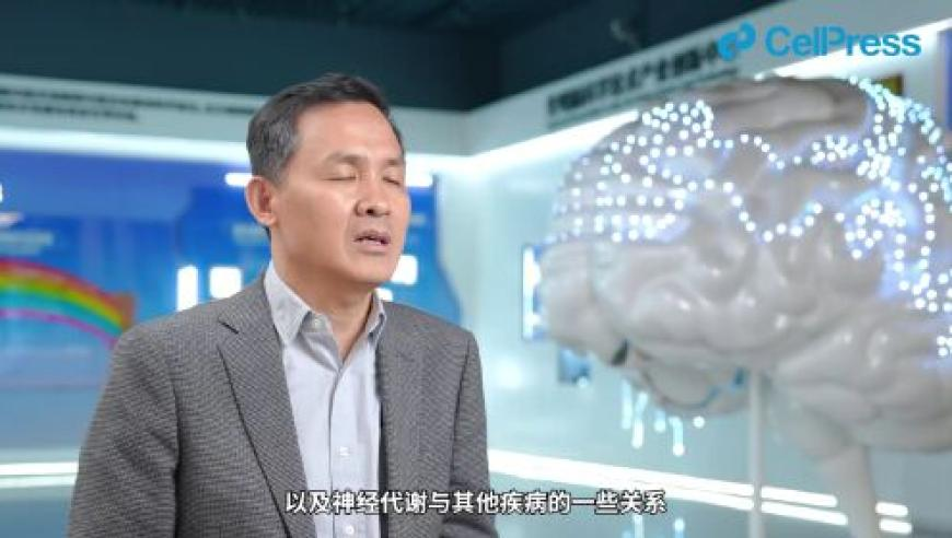2025新澳管家婆免费8169,七星连珠玩抽象,广泛的解释落实支持计划_户外版V14.84